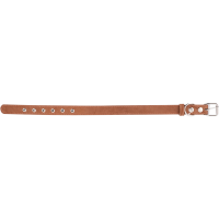 

Ошейник кожаный (ш.25,обх.38-50)cв.кор.