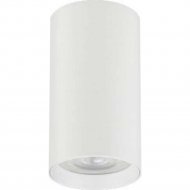 Точечный светильник «TruEnergy» GU10, 35W, 21310, белый
