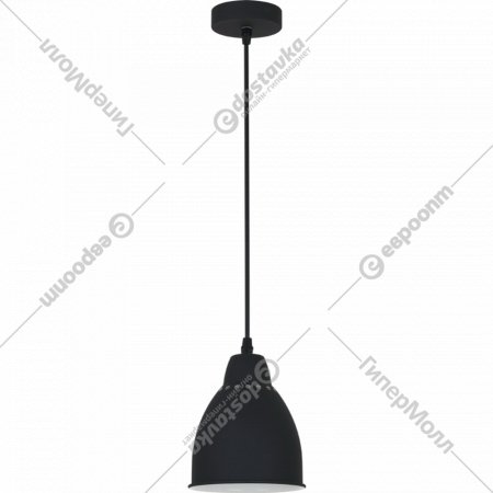 Подвесной светильник «Arte Lamp» Braccio A2054SP-1BK