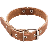 

Ошейник кожаный(ш.30,обх.45-60см,св.кор)