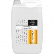 Шампунь «Prosalon» Professional Color Art, для поддержания цвета окрашенных волос, манго, 12473, 5000 мл