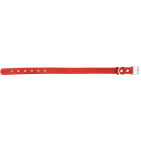 

Ошейник кожаный (ш.30,обх.45-60)красн