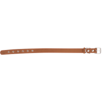 

Ошейник кожаный (ш.30,обх.45-60)Св.кор.