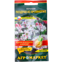 

Петуния драже, 7 шт