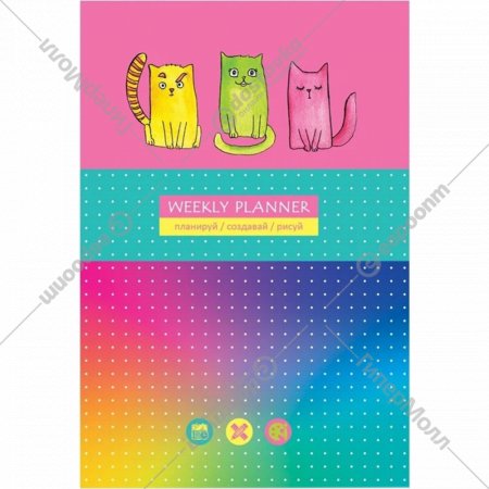 Записная книжка «BG» Яркие коты, ЗК5т80_лм_вл 8364, А5, 80 листов