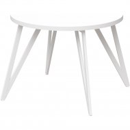Обеденный стол «Millwood» Женева 2 18 мм, ЛДСП белый/белый, 100х100х75 см
