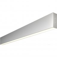 Линейный светильник «Elektrostandard» 101-100-40-78, a041477, накладной, матовое серебро