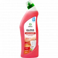Средство чистящее «Gloss» анти-налёт, 1000 мл