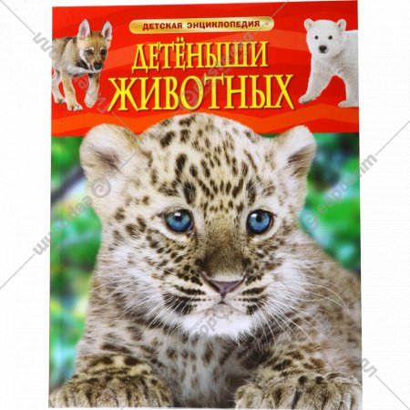 Детская энциклопедия «Детеныши животных»