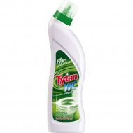 Моющее средство для туалета «Tytan» зеленый, 700 г
