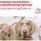 Корм для собак «Royal Canin» Castrointestinal Canin, 2 кг