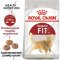 Корм для кошек «Royal Canin» Fit, 2 кг