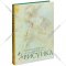 Книга «Основы учебного академического рисунка» Николай Ли.