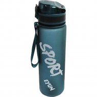 Спортивная бутылка для воды «ZEZ SPORT» YC-8613, 650 мл