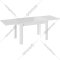 Обеденный стол «ТриЯ» Норман тип 1, белый/стекло белый глянец