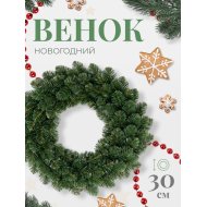 Венок новог«WASHINGTON»(1981-30CM)30см