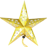 

Украшение "РОЖДЕСТВЕНСКАЯ ЗВЕЗДА"(ST-30)