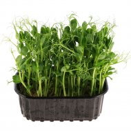 Микрозелень «Горох в растущем виде» 30 г