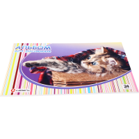 

Альбом "КОТЁНОК В КОРЗИНЕ" (д/р.24л)