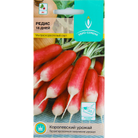 

Редис"18 дней"(цв/п 2 гр)