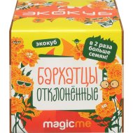 Набор для выращивания «Magicme» Экокуб, Бархатцы, ECL-01-16