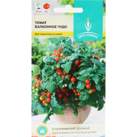 

Семена "ТОМАТ БАЛКОННОЕ ЧУДО"(15 шт низ)