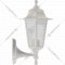 Светильник уличный «ЭРА» Леда1, НБУ 06-60-001, Б0048116, белый