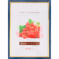 

Рамка пласт. со стеклом(21х30,202,синий)