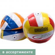 Волейбольный мяч FI12016