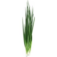 Лук зеленый, 70 г