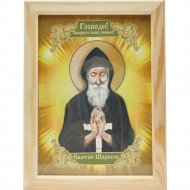 Икона «Святой Целитель Шарбель» 41049, 18х24 см