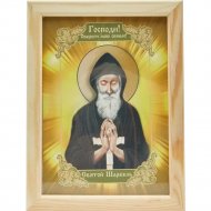 Икона «Святой Целитель Шарбель» 41050, 21х27 см