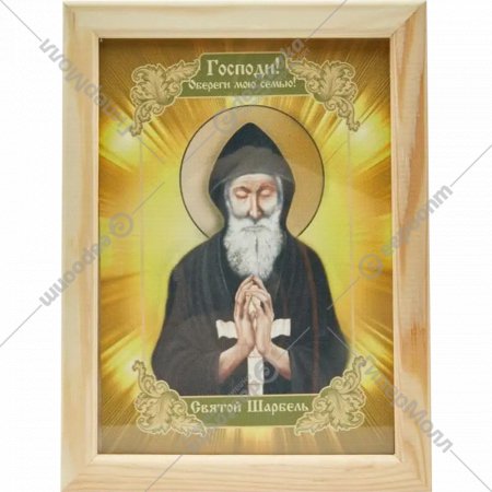Икона «Святой Целитель Шарбель» 41050, 21х27 см