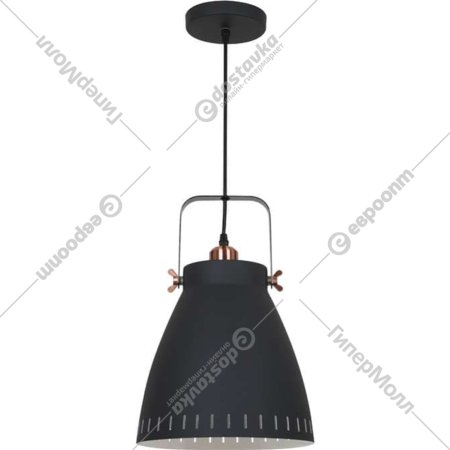 Светильник подвесной «Camelion» New York, PL-428L С62, 13072, черный/медь