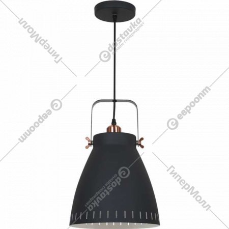 Светильник подвесной «Camelion» New York, PL-428L С62, 13072, черный/медь
