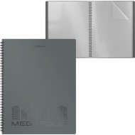 Папка «Erich Krause» Megapolis, 49958, А4, спираль, 40 карманов, серый