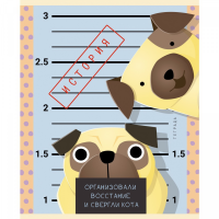 

Тетрадь "ИСТОРИЯ"(предметная,48л.кл.)
