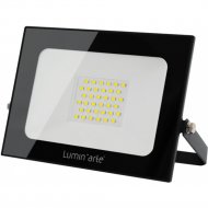 Прожектор «LuminArte» LFL-50W/05, черный