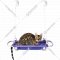Гамак для животных «Furrytail» Pet Window Perch, DCZ, фиолетовый