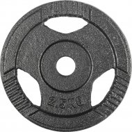 Диск для штанги «Sundays Fitness» IR91010, 2.5 кг, 25 мм
