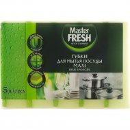 Губки для мытья посуды «Master Fresh» макси, 5 шт