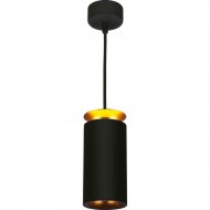 Подвесной светильник «Elektrostandard» DLS021 9+4W 4200К, черный матовый/золото, a045504