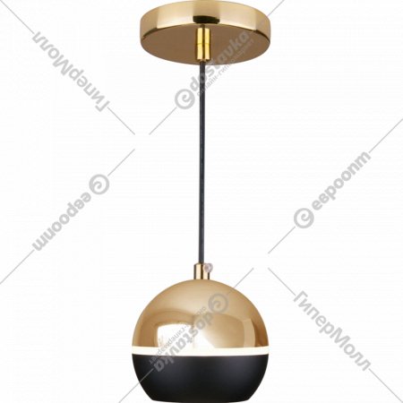 Подвесной светильник «Elektrostandard» DLS023 9W 4200K, черный/золото, a047804