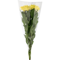 

Букет хризантем микс (3 шт) желтый