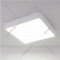 Потолочный светильник «Elektrostandard» DLS034 18W 4200K, a043017