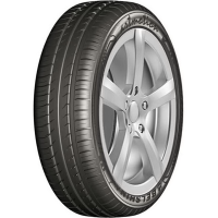 

Шина авт. "BELSHINA"(BEL-331,225/55R16)