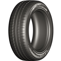

Шина авт. "BELSHINA"(BEL-334,225/60R16)