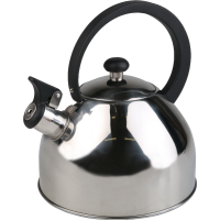 

Чайник (AL-1021) 2.5л