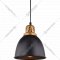Подвесной светильник «Arte Lamp» Eurica, A4245SP-1BK