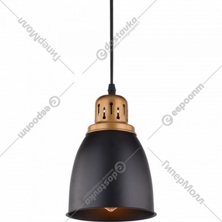 Подвесной светильник «Arte Lamp» Eurica, A4248SP-1BK